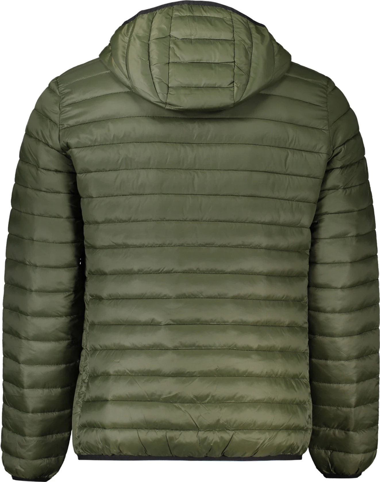 Jakne për meshkuj CAVALLI CLASS, e gjelbër