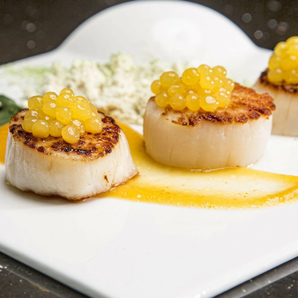 Aparat për dizajn ushqimi Rommelsbacher FD 500, i zi