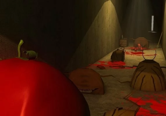 Tomato Way Global