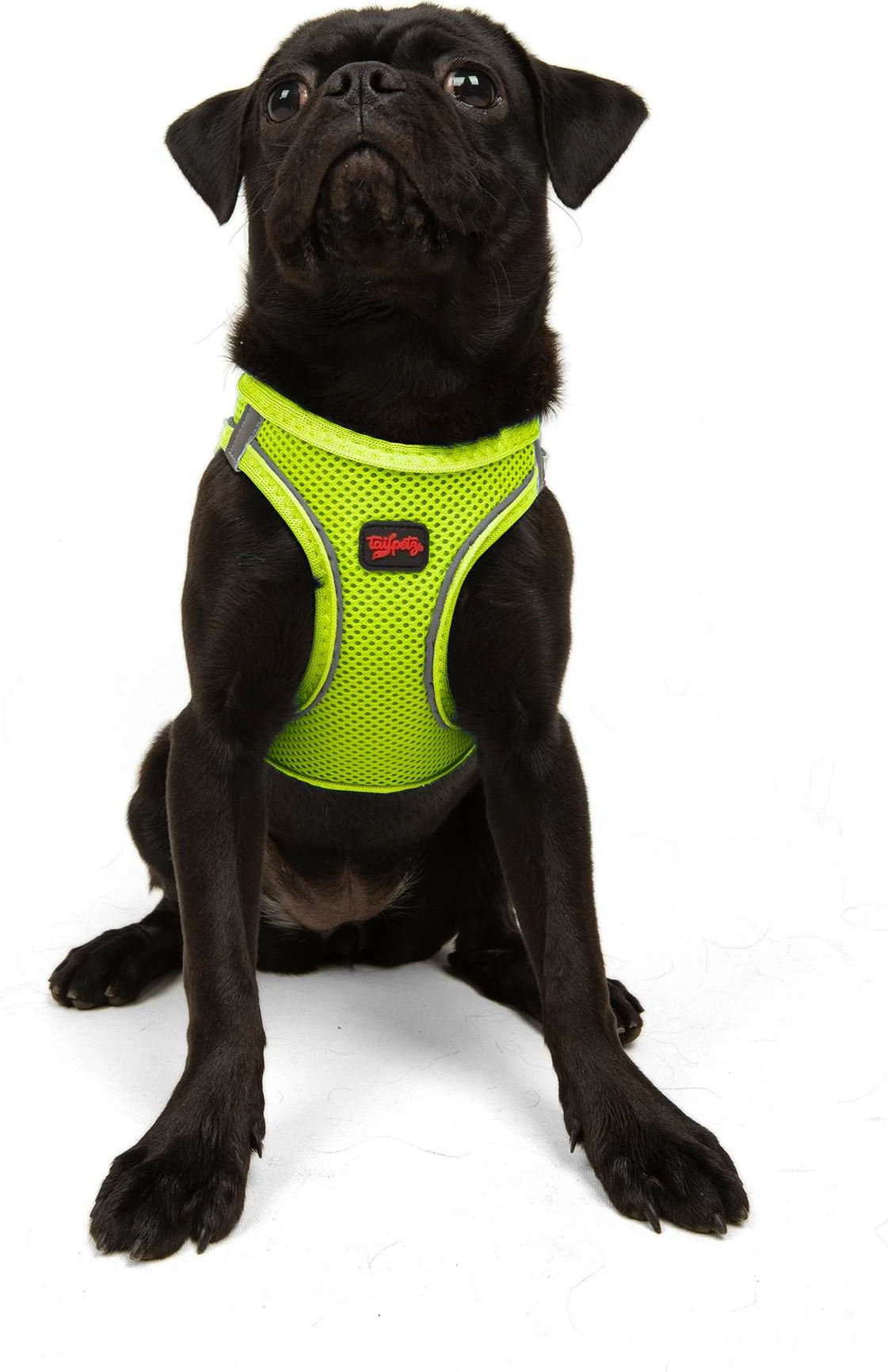 Parzmore për qen, Air-Mesh, ngjyrë Neo Lime