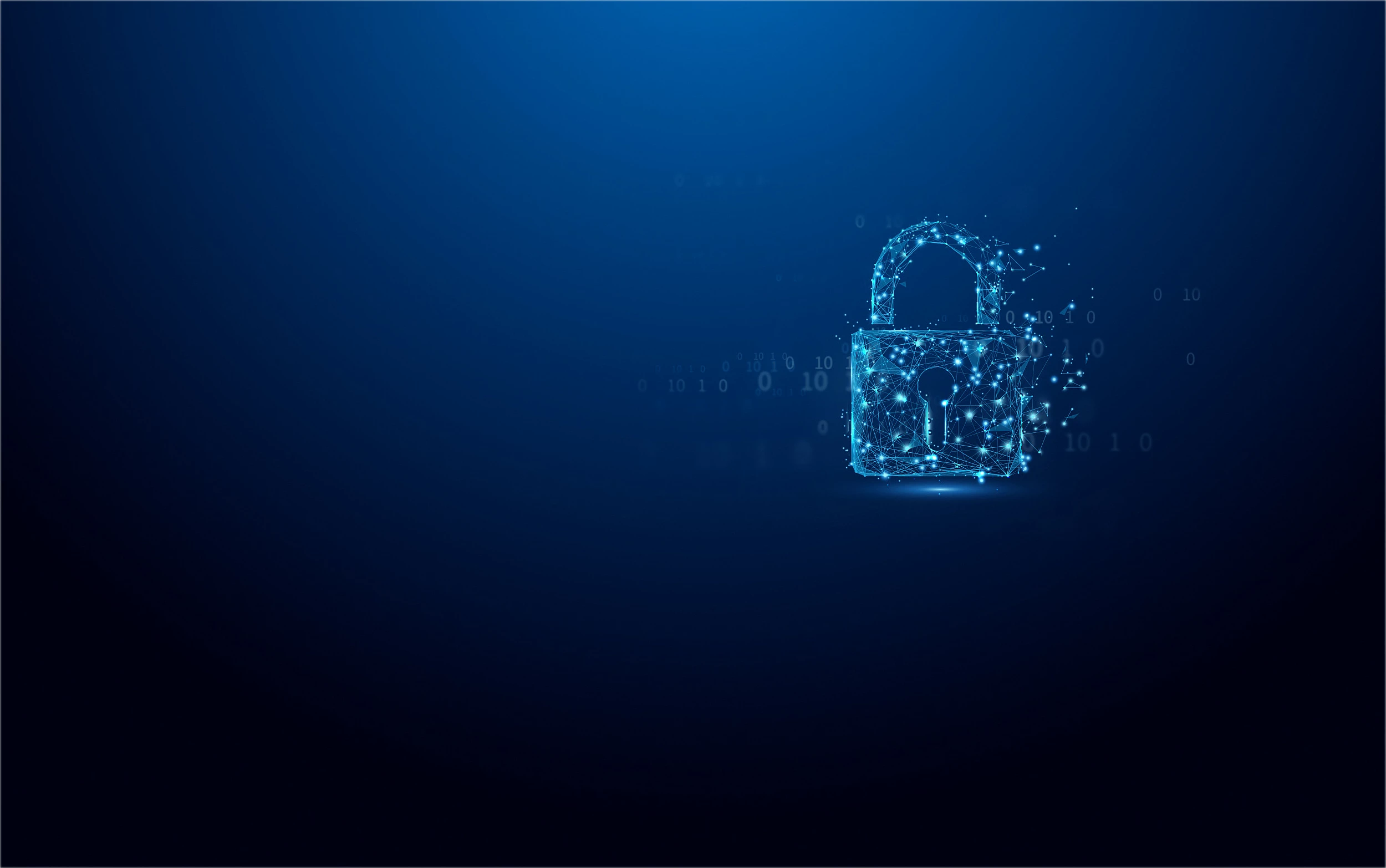 USB Kingston IronKey Vault Privacy 50 16GB, USB 3.2, zi/blu