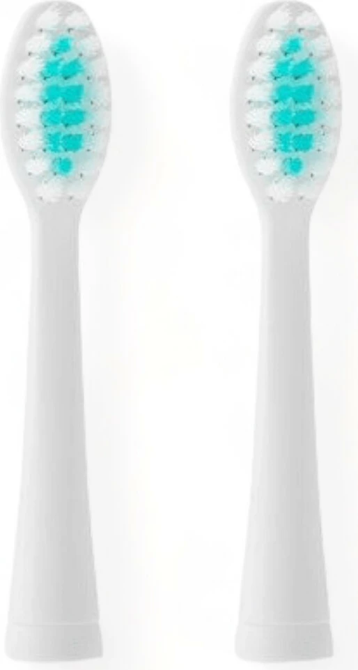 Aksesorë Për Furçë Dhëmbësh ETA SONETIC 070990400