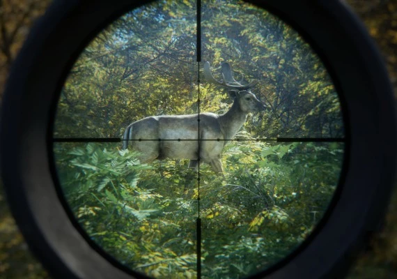 theHunter: Call of the Wild - Emerald Coast Cosmetic Pack DLC EN Global