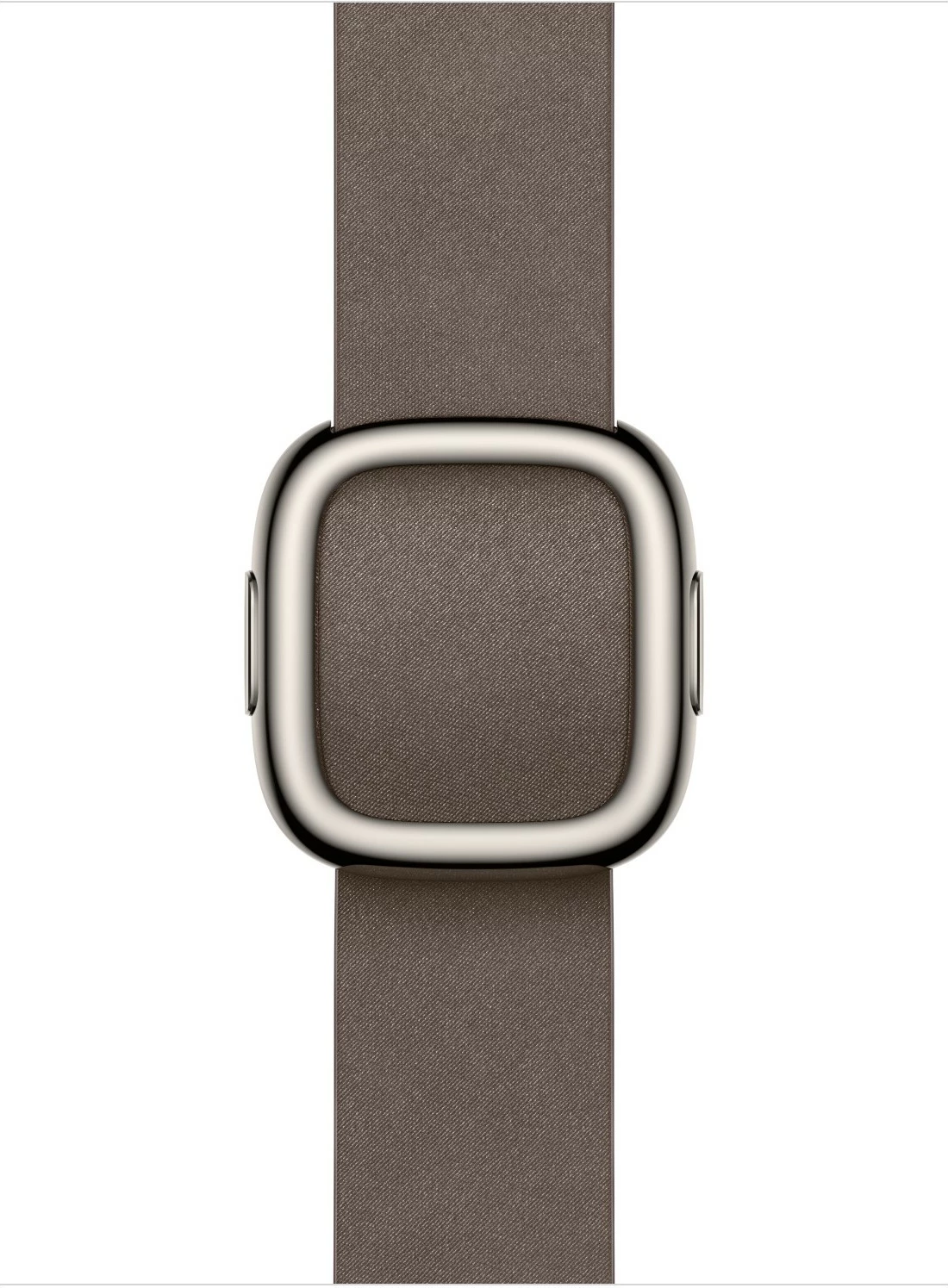 Rrip Apple 42mm Dark Taupe Modern Buckle, i madh