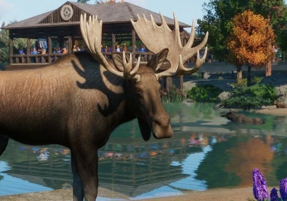 Planet Zoo - North America Animal Pack DLC Global