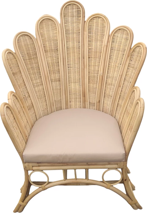 Fotelja Fragia Inart me jastëk bezhë, ratan natyral, 103x90x120 cm