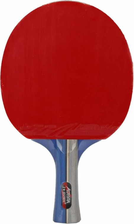 Raketë pingpong Aurora PRO 2* SG 2002
