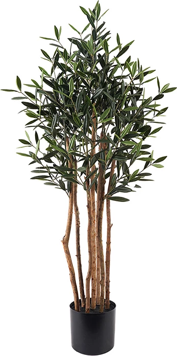 Bimë dekorative në vazo Olia, ngjyrë e gjelbër, D52x120cm