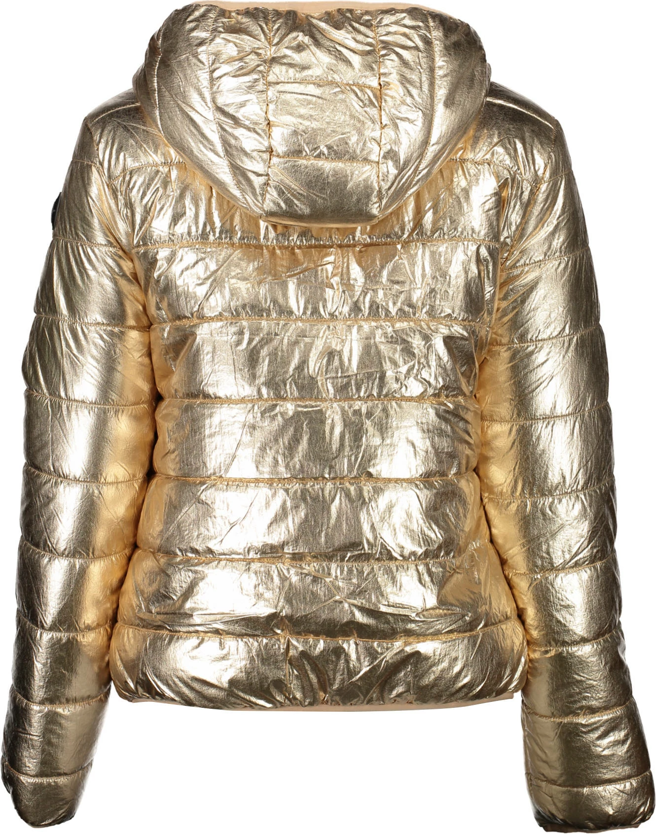 Jakne US Polo femra, e artë