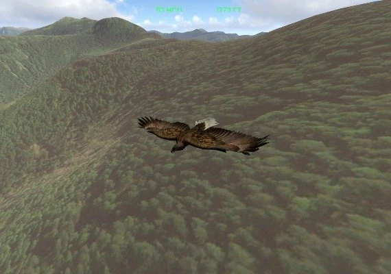 Aquila Bird Flight Simulator EN Global