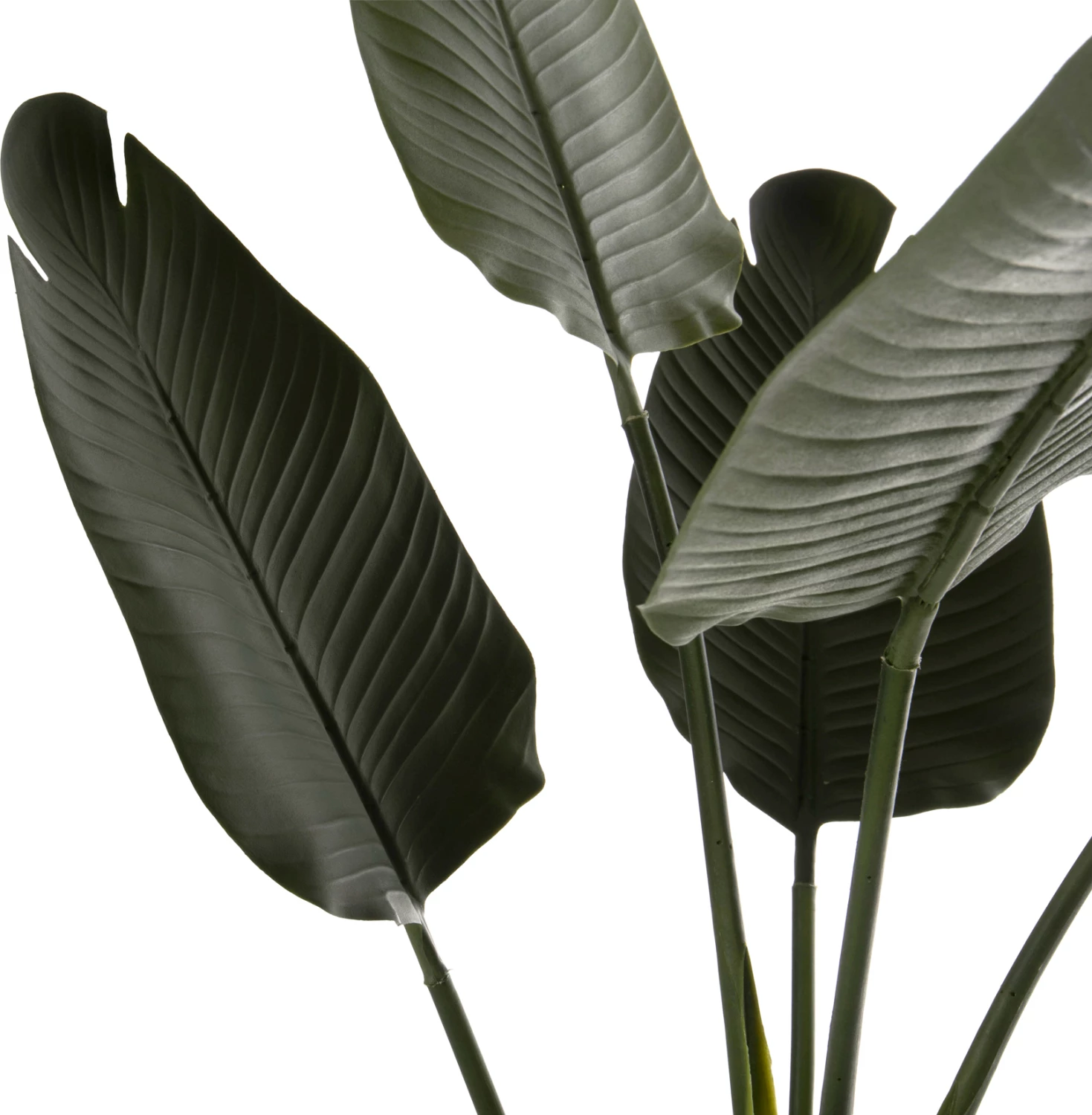 Bimë sintetike dekorative në vazo, FH7969, Strelitziaceae, 115Hcm