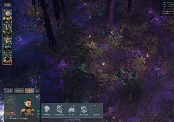 Solasta: Crown of the Magister - Palace of Ice DLC EN/DE/FR/PT/RU/ZH Global