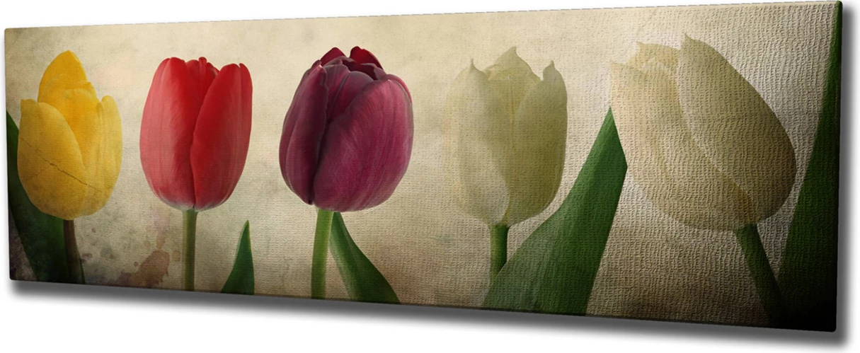 Pikturë dekorative në kanavacë, Wallity PC147, shumëngjyrëshe, 30x80cm