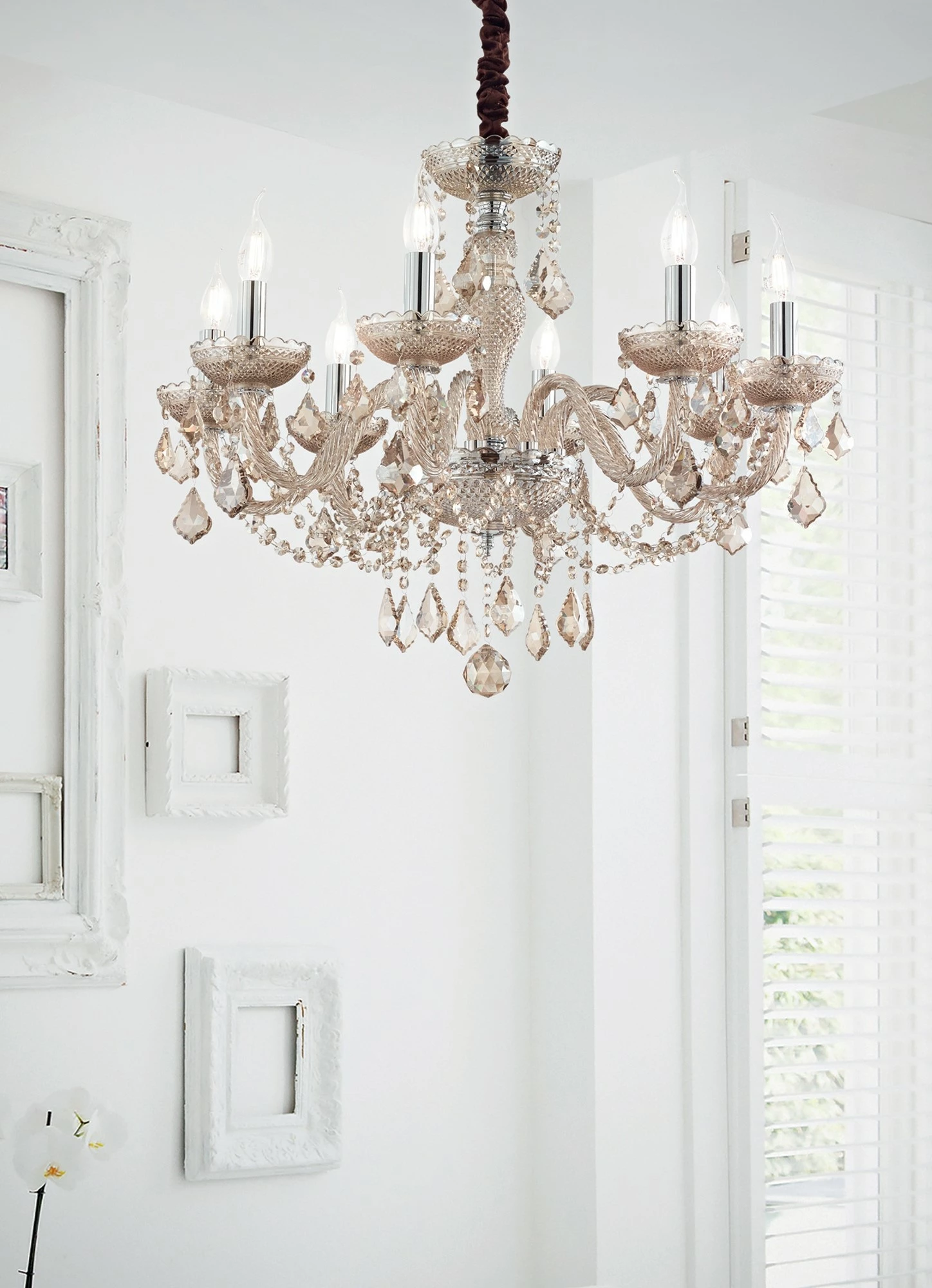 Llambë e varura Rose sp8