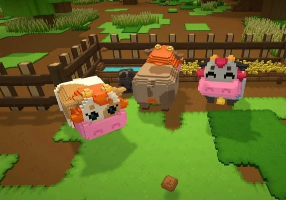 Staxel Global