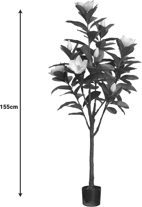 Bimë dekorative Mangola I në vazo, e bardhë, pp, H155cm