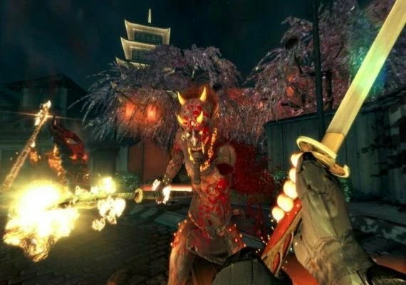Shadow Warrior Special Edition EN Global