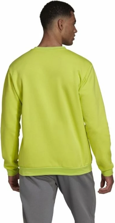 Duks për meshkuj adidas, jeshil [Madhësia: S]