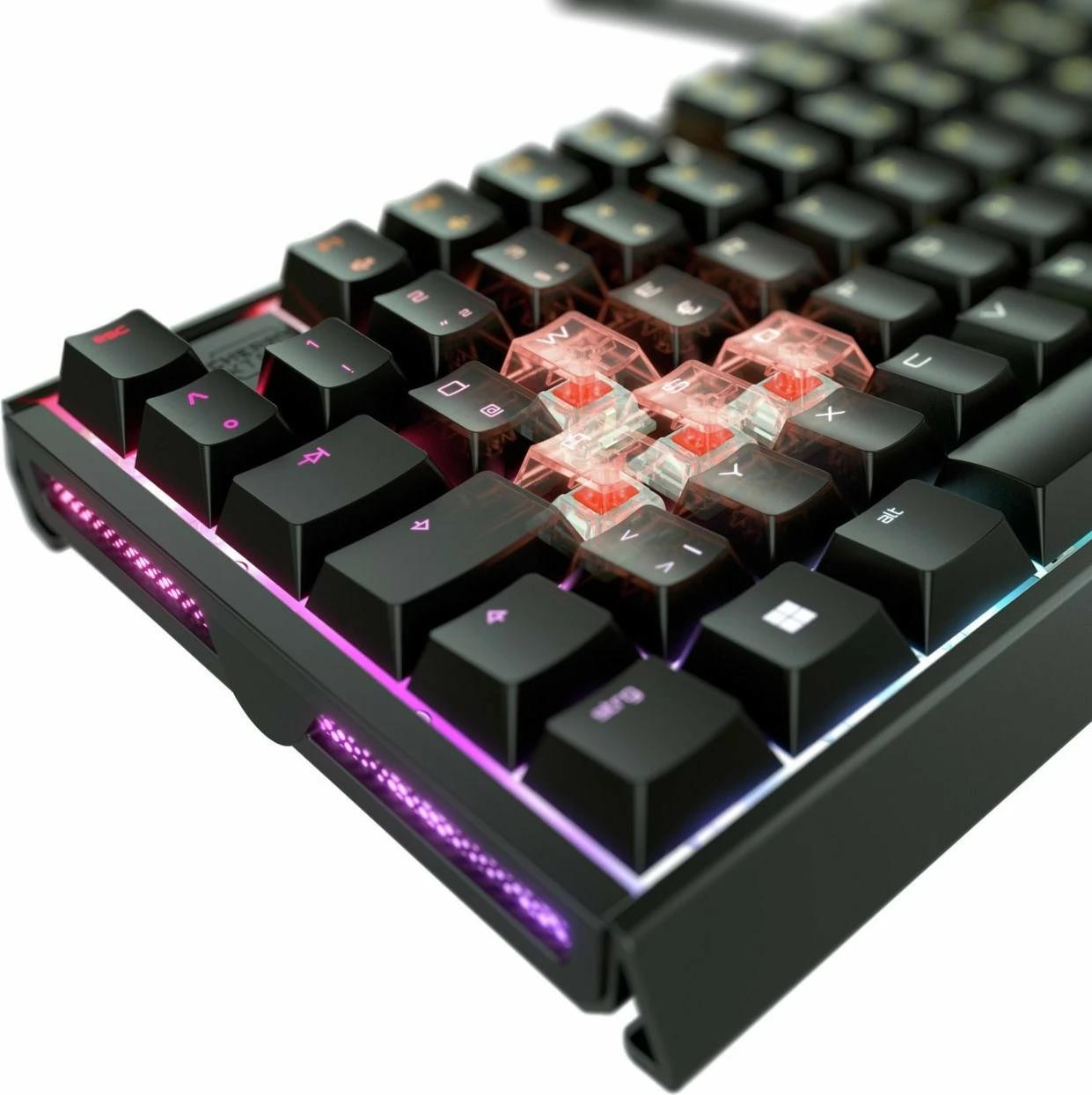 Tastierë Cherry XTRFY MX 3.1, Wired, USB, Mekanike, QWERTZ, RGB LED, E zezë