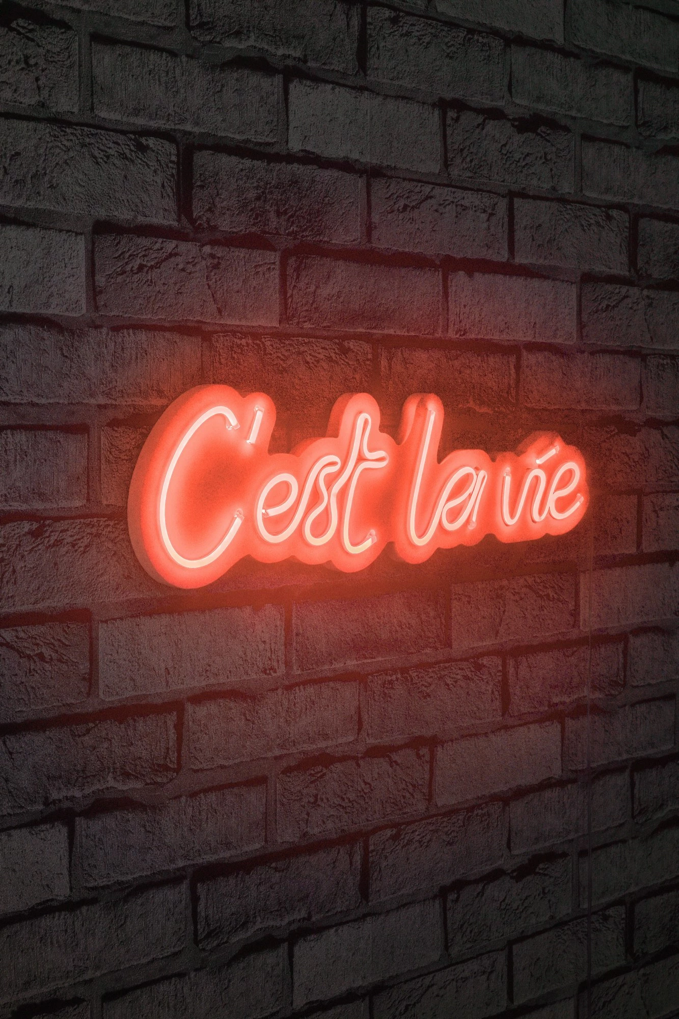 Dekor dritash LED plastike, 'C'est La Vie', ngjyrë e kuqe