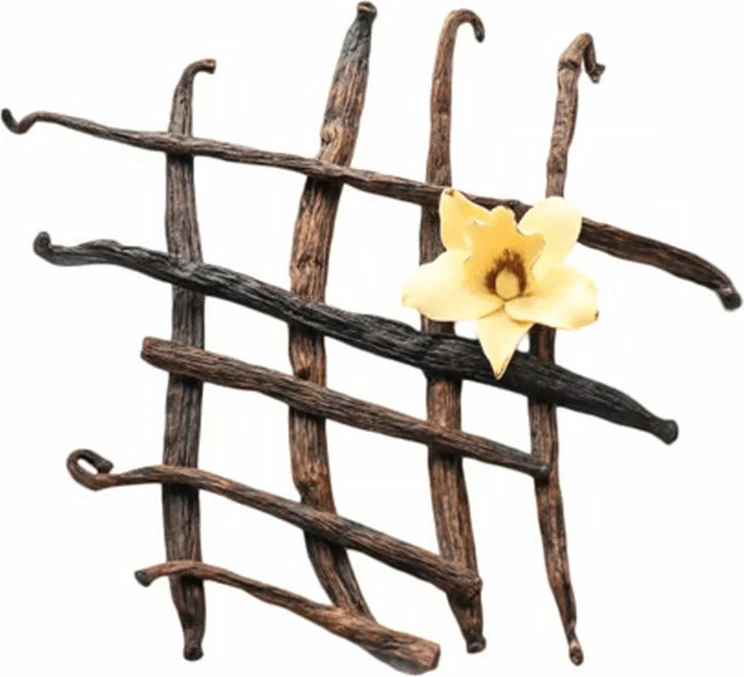 Hydro Whey 600gr Vanille