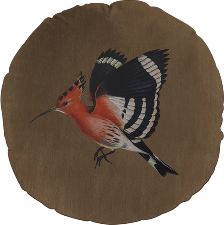 Jastëk dekorativ Hoopoe, kadife, shumëngjyrësh, kafe, 45x45cm