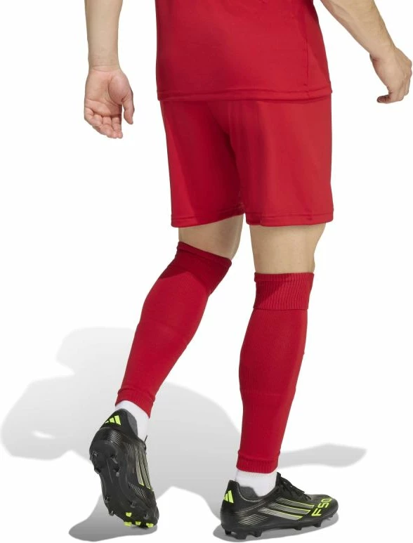Shorce adidas për meshkuj [Madhësia: XL]