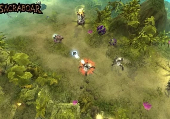 Sacraboar EN/DE Global