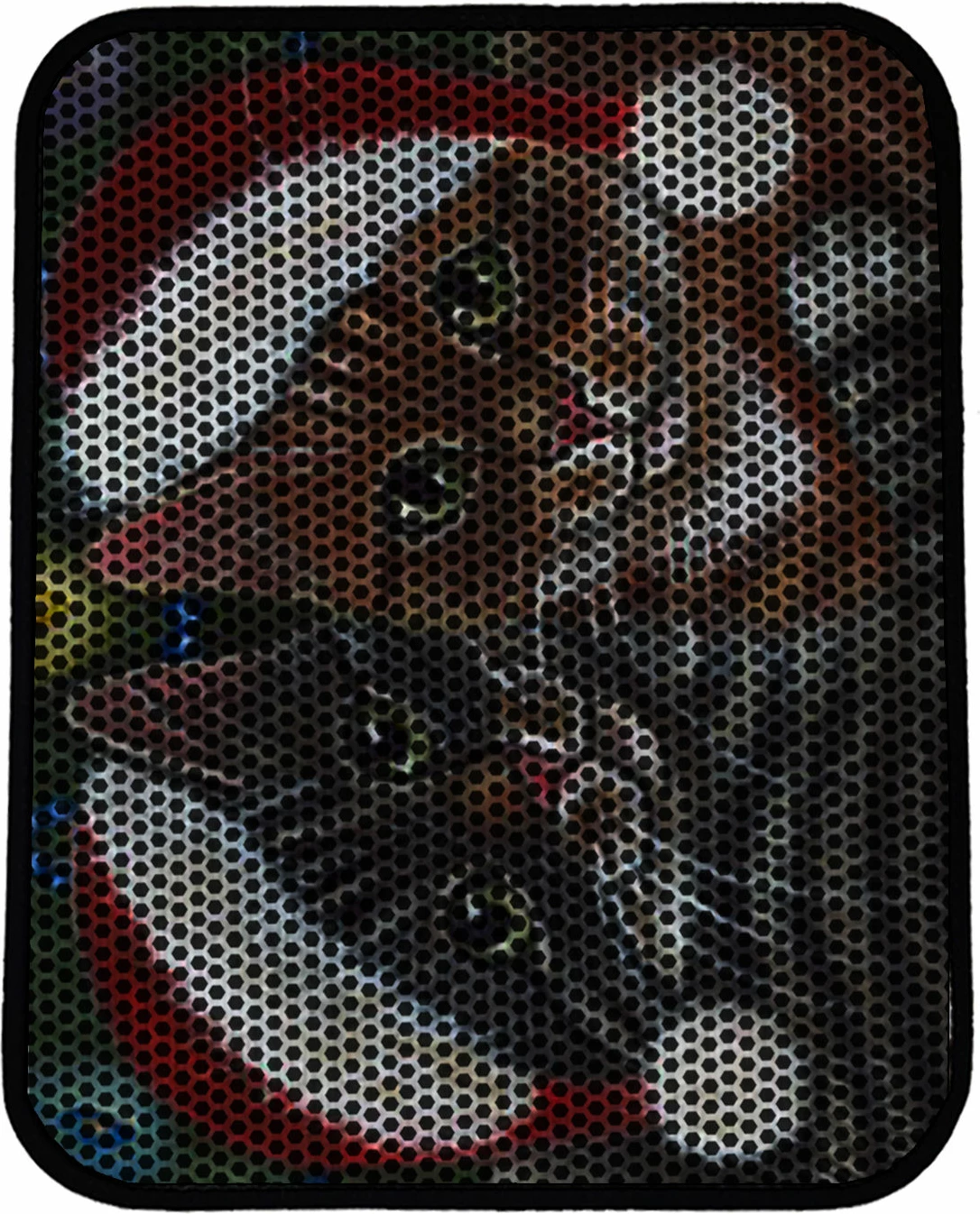 Tapet për rërë mace, shumëngjyrësh, Paws & Whiskers, Nrszn0165, 45x60cm