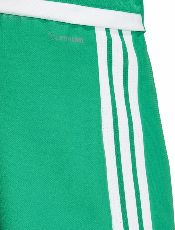 Shorce për meshkuj adidas Tiro 26 Competition Match Day, të gjelbra [Madhësia: XL]