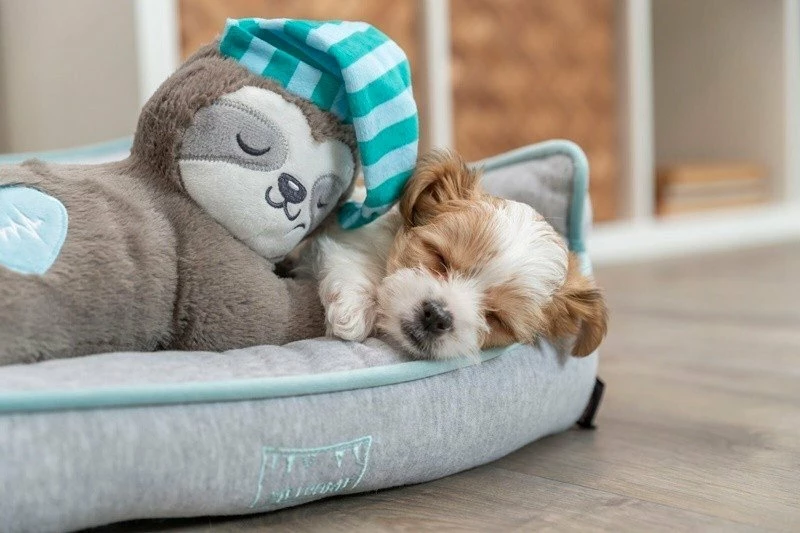 Lodër plush për qen Trixie TX-36166, përtac me rrahje zemre, 34 cm, bateri LR44, shumëngjyrëshe