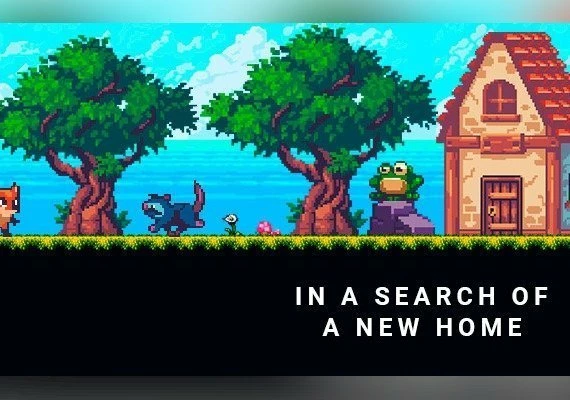In a Search of a New Home Global
