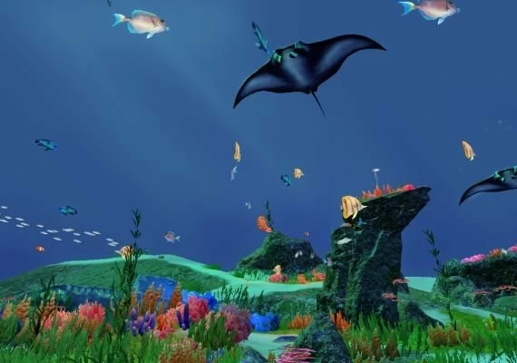 Fancy Fishing VR EN Global