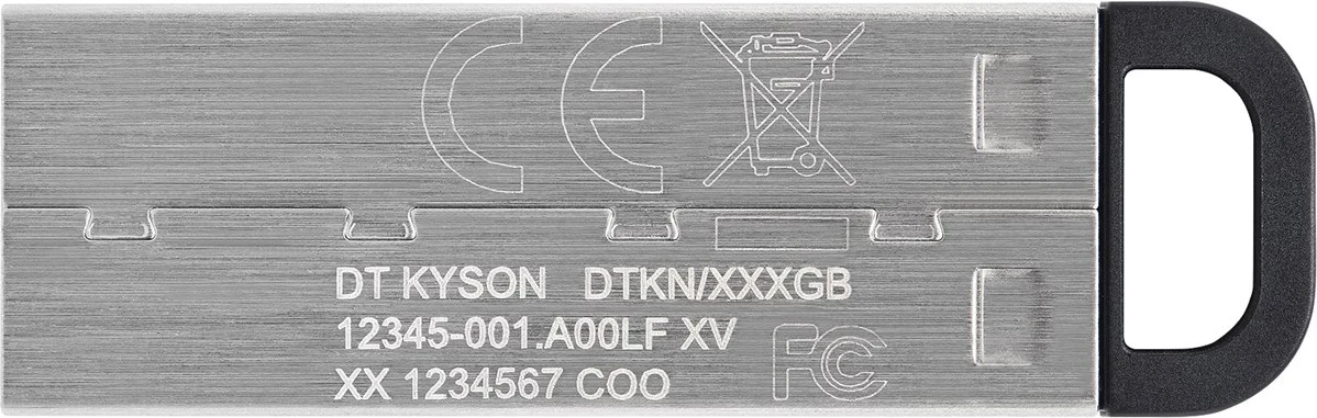 USB Flash Kingston DataTraveler 256GB Kyson, Argjendtë