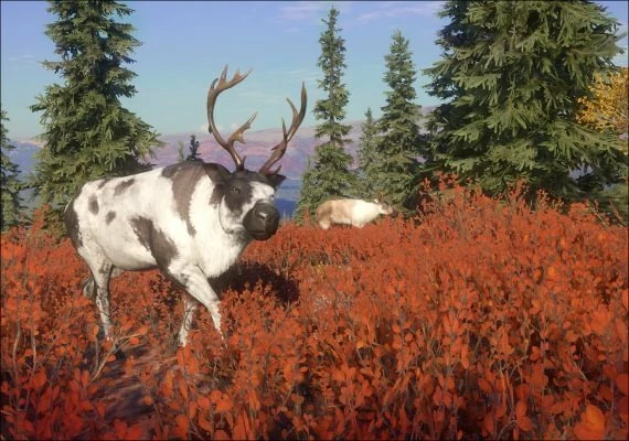theHunter: Call of the Wild - Yukon Valley DLC Global