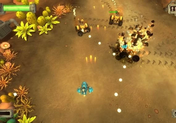 Blue Rider EN Global