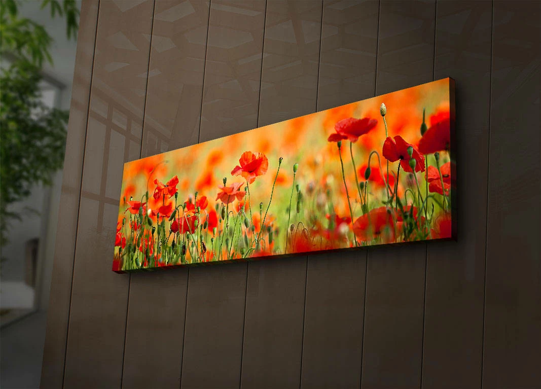 Pikturë dekorative me drita LED, shumëngjyrëshe, Wallity, 3090İACT-13, 30x90cm