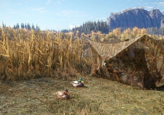 theHunter: Call of the Wild - Duck and Cover DLC Global