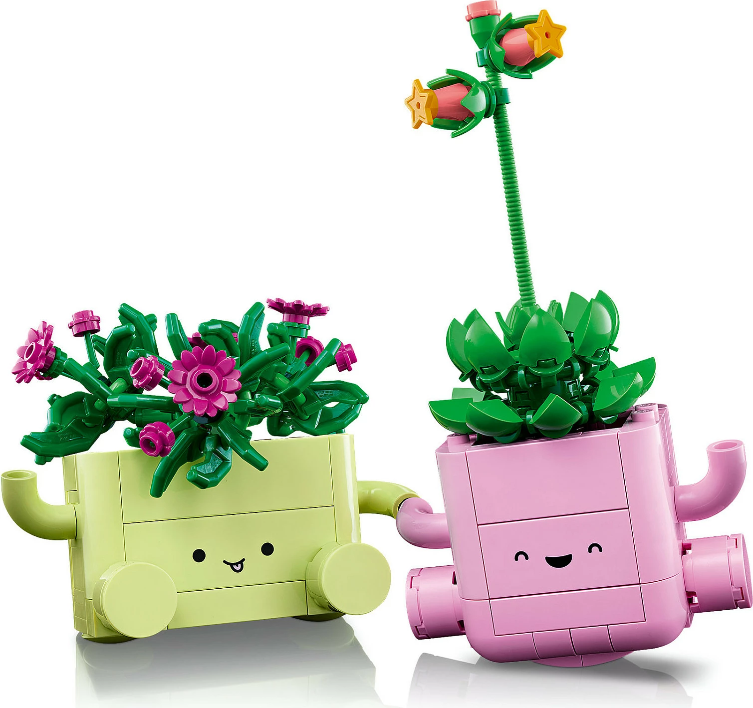 Set LEGO Botanicals Rocking Plants 11506, 253 copë, multikolor