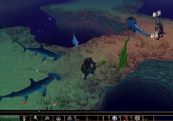 Neverwinter Nights: Pirates of the Sword Coast DLC EN Global