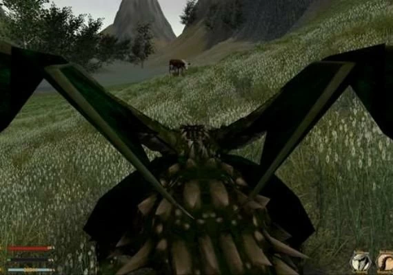 Dragon: The Game EN Global