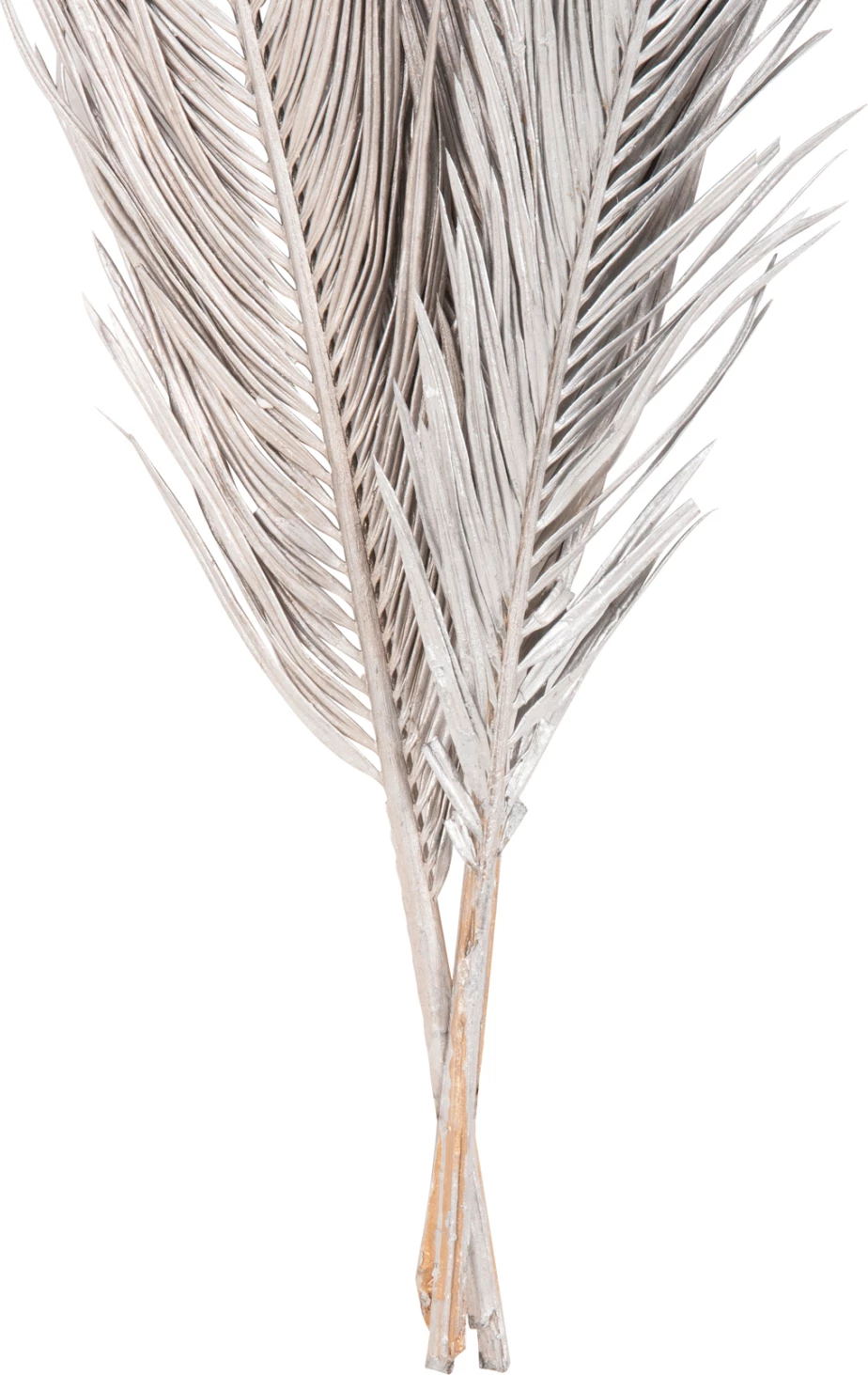 Set dekorativ me 3 gjethe palme të thata, ngjyrë argjendi, FH7957, 110H cm