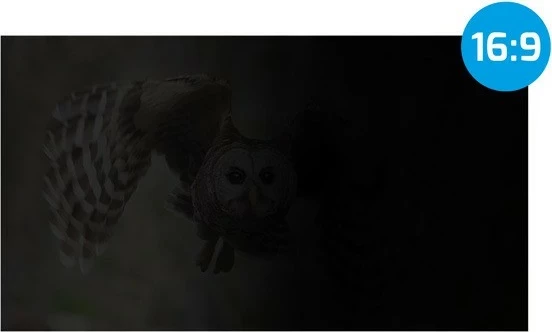 Filtri privat Natec Owl 17.3", 16:9, i zi