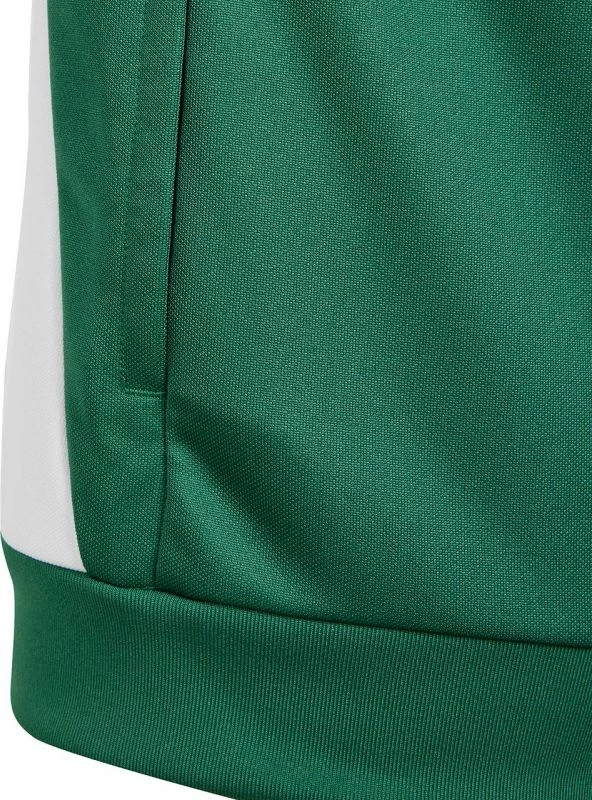 Duks për fëmijë adidas Tiro 24 Training, jeshile [Madhësia: 164 cm]