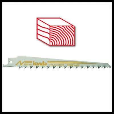 Sharrë reciproke Einhell TE-AP 18/28 Li BL Solo, brushless, 18V, pa kabllo, zi/kuqe