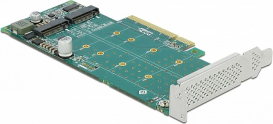 Kartë zgjerimi PCIe DeLOCK, 2x M.2 NVMe Key M, PCIe 4.0, low-profile