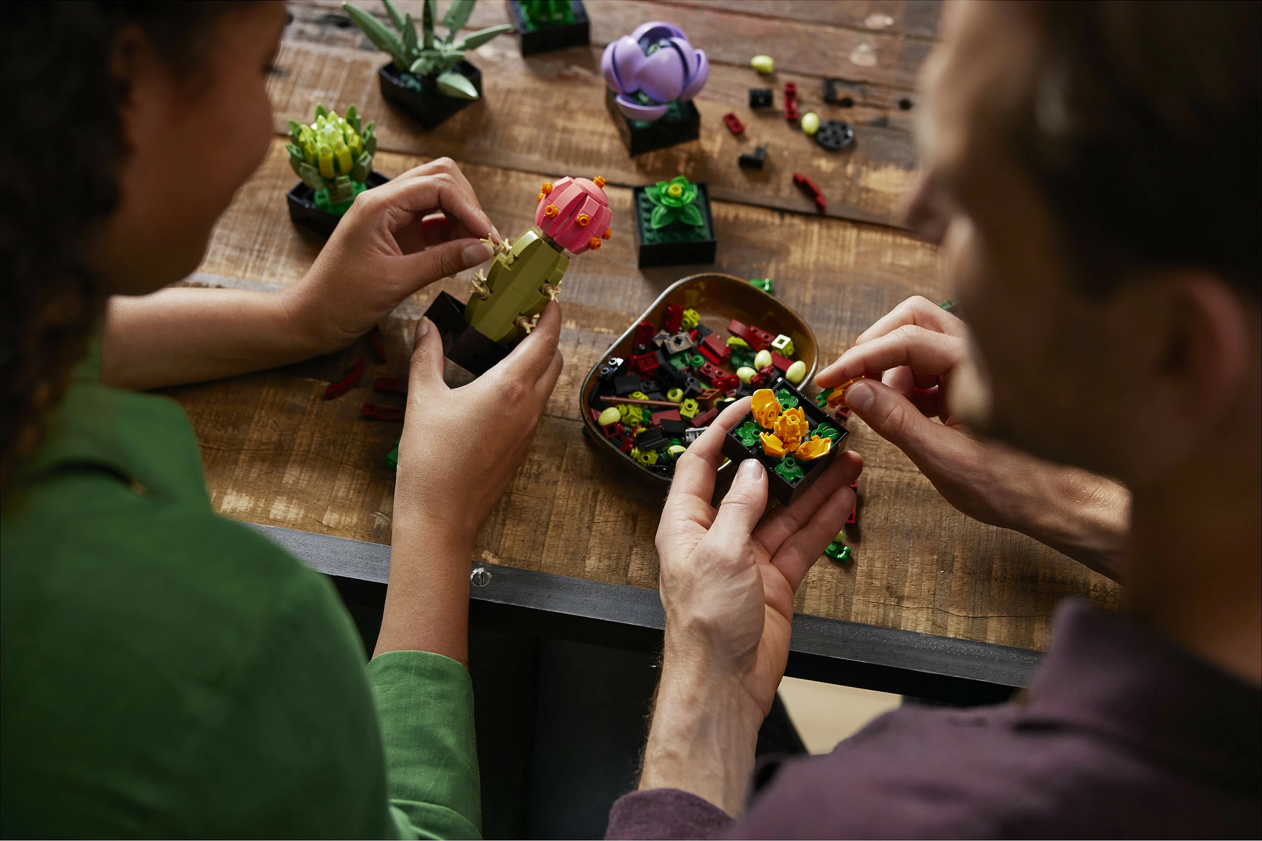Set ndërtimi LEGO Botanicals Succulents 10309, 771 copë, 18+, multikolor