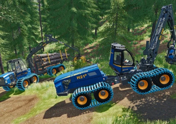 Farming Simulator 19 - Rottne DLC EN Global