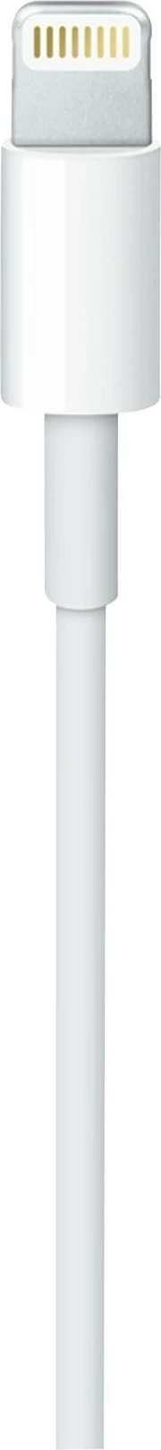 Apple USB-C to Lightning Cable - Lightning / USB - 1 m