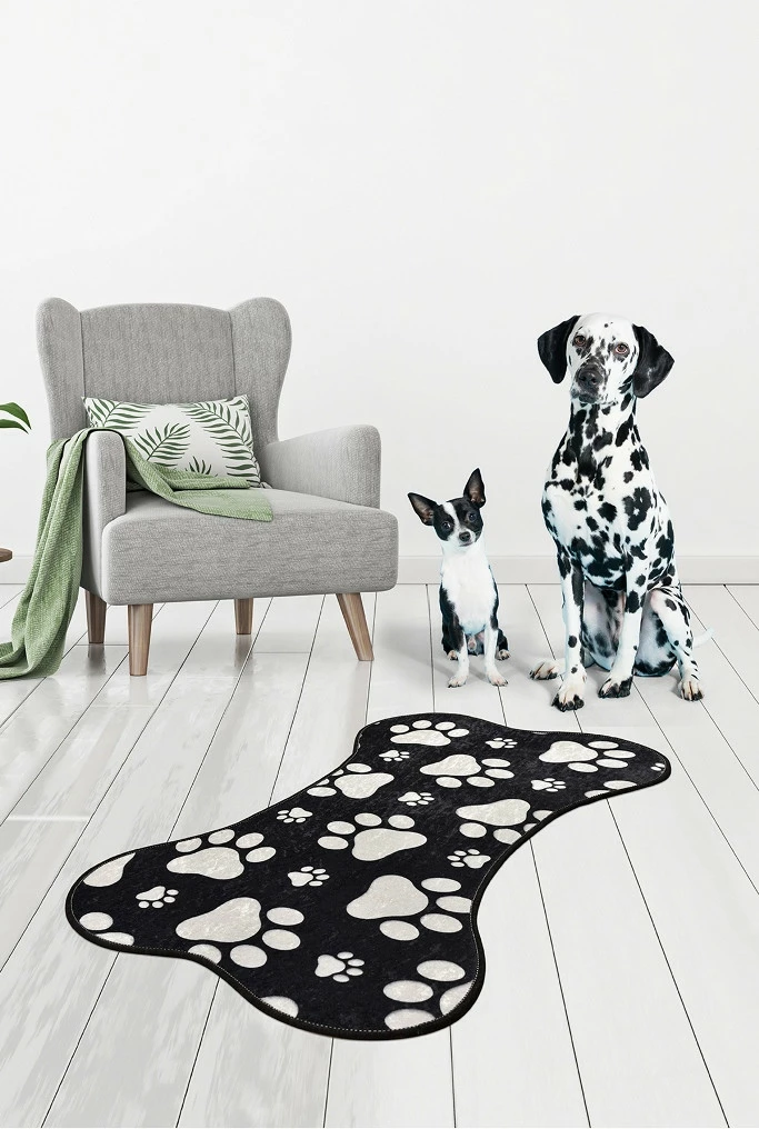 Qilim (60 x 100) Conceptum Hypnose, Paw